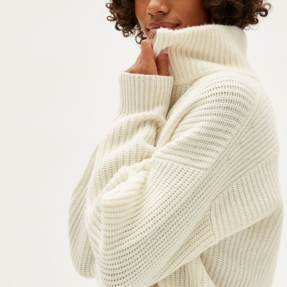 Everlane Felted Merino Will Half-zip
